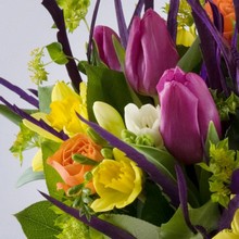 bright, vibrant, spring, handtie, bouquet,