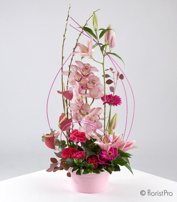 pink, red, orchid, anthurium, lily, modern, luxury, gift, arrangement,