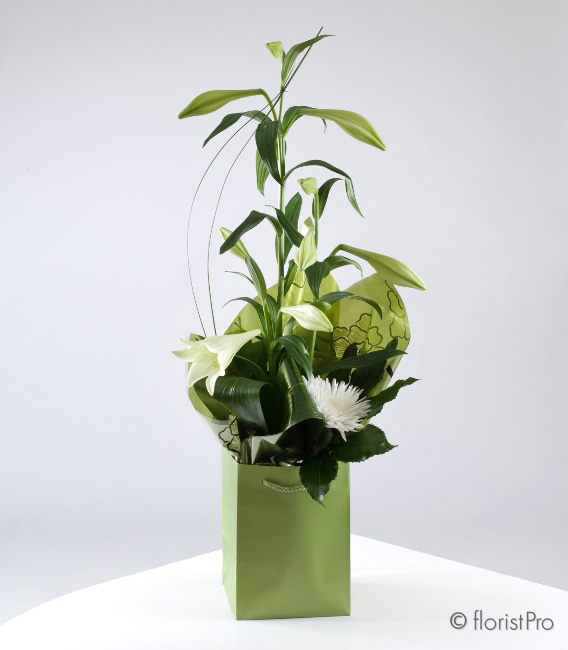 white, green, lily, chrysanthemum bloom, gift, bouquet,