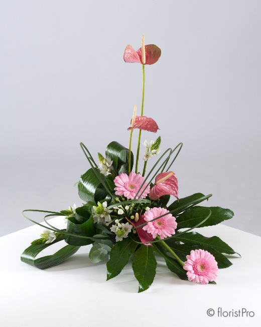 pink modern anthurium gerbera arrangement 