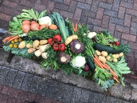 Vegetable, fruit, allotment, coffin, casket, spray, Funeral, tribute, wreath, flowers, Biggin Hill, Westerham, Orpington, Bromley, Sevenoaks, Florist 