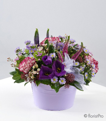 purple, pink, low, table, gift, arrangement,