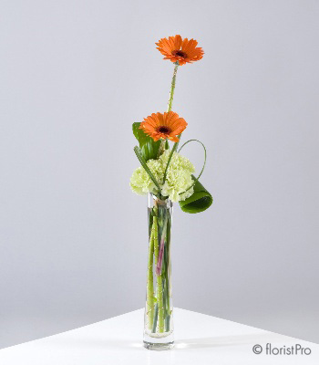 gerbera modern vase arrangement www.thegravesendflorist.co.uk