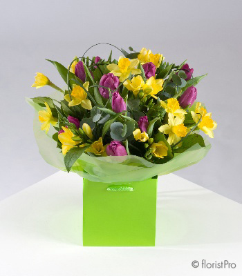tulip, freesia, spring, handtie, spring, Mother’s Day, birthday, anniversry flowers, bouquet, bunch, gift,  flowers, Biggin Hill, Westerham, Orpington, Bromley, Sevenoaks, Florist, delivery, delivered