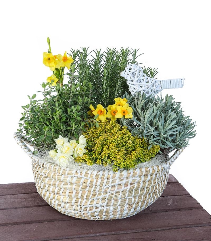 Indoor, garden, planter, gift, Mother’s Day, flowers, bouquet, bunch, gift, Funeral, tribute, wreath, flowers, Biggin Hill, Westerham, Orpington, Bromley, Florist, delivery, delivered