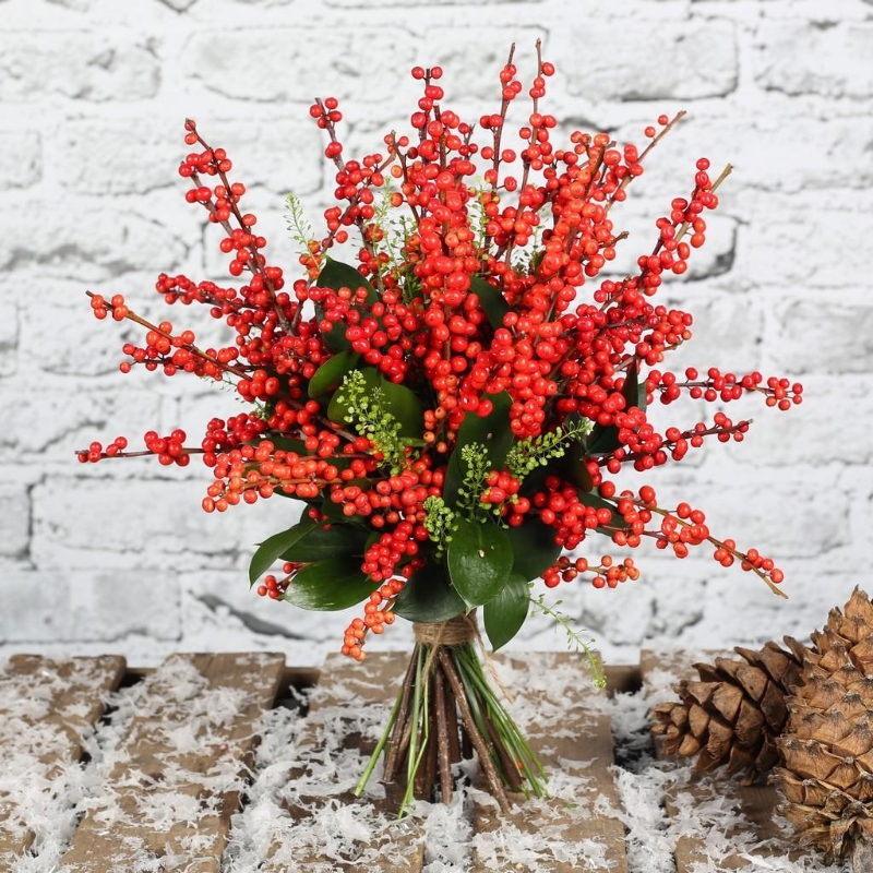 Berrys, Christmas, Ilex, Red