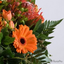 orange, autumn, handtie, rustic, jug, bouquet, 