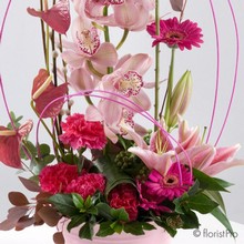 pink, red, orchid, anthurium, lily, modern, luxury, gift, arrangement,