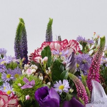 purple, pink, low, table, gift, arrangement,