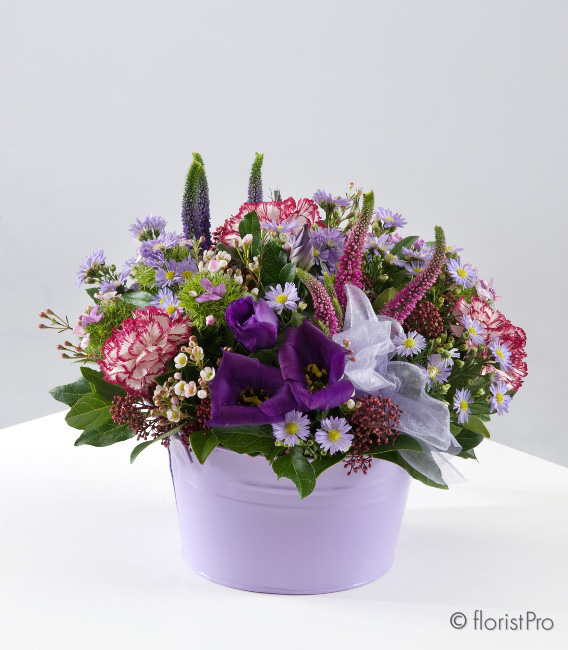 purple, pink, low, table, gift, arrangement,