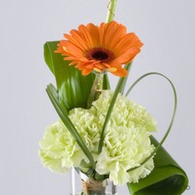 gerbera modern vase arrangement www.thegravesendflorist.co.uk