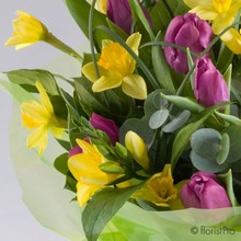 tulip, freesia, spring, handtie, spring, Mother’s Day, birthday, anniversry flowers, bouquet, bunch, gift,  flowers, Biggin Hill, Westerham, Orpington, Bromley, Sevenoaks, Florist, delivery, delivered