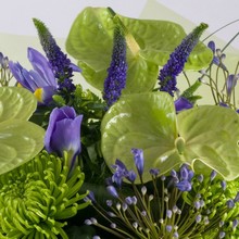 anthurium, lime green, purple, handtie, bouquet,