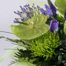 anthurium, lime green, purple, handtie, bouquet,