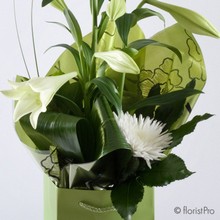 white, green, lily, chrysanthemum bloom, gift, bouquet,