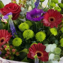 green, red, purple, handtie, bouquet, 