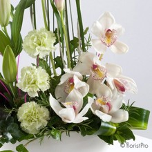 lily, orchid, carnation, calla, modern, arrangement, www.thegravesendflorist.co.uk