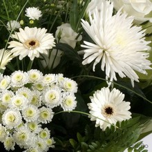 white, rose, gerbera, chrysanthemum, handtie, gift, bouquet,