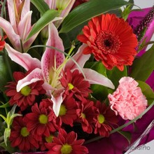 red, pink, rose, lily, gerbera, handtie, bouquet,