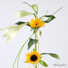 yellow, white, sunflower, rose, lily, modern, designer, arrangement, gift, Biggin Hill, Westerham