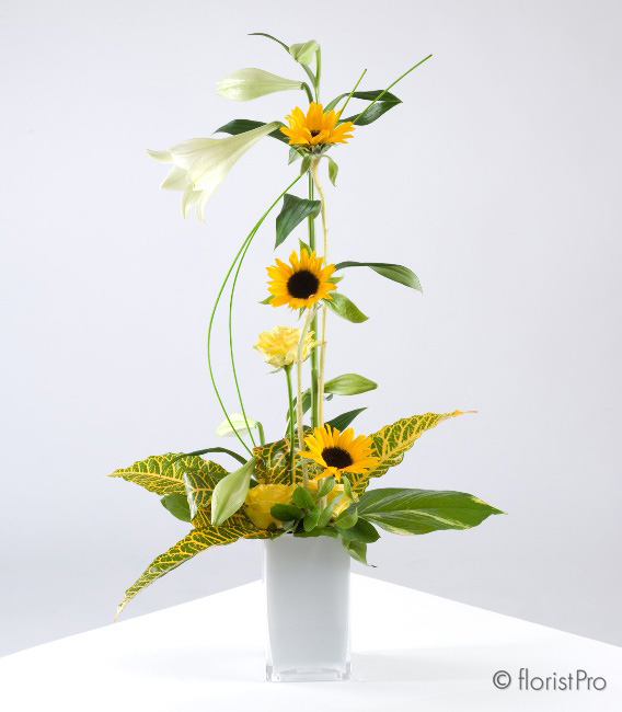 yellow, white, sunflower, rose, lily, modern, designer, arrangement, gift, Biggin Hill, Westerham