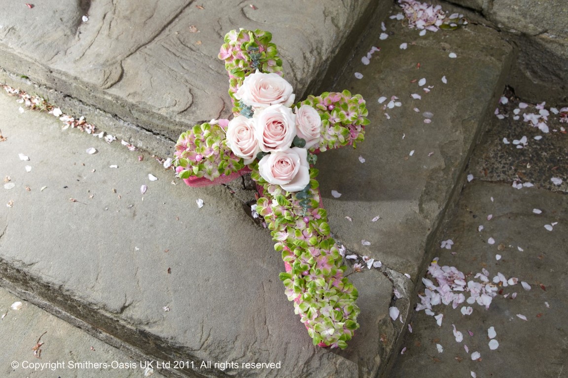 Hydrangea Based Cross