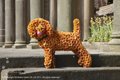 dog, doggie, doggy, canine, Funeral, tribute, wreath, flowers, Biggin Hill, Westerham, Orpington, Bromley, Sevenoaks, Florist 