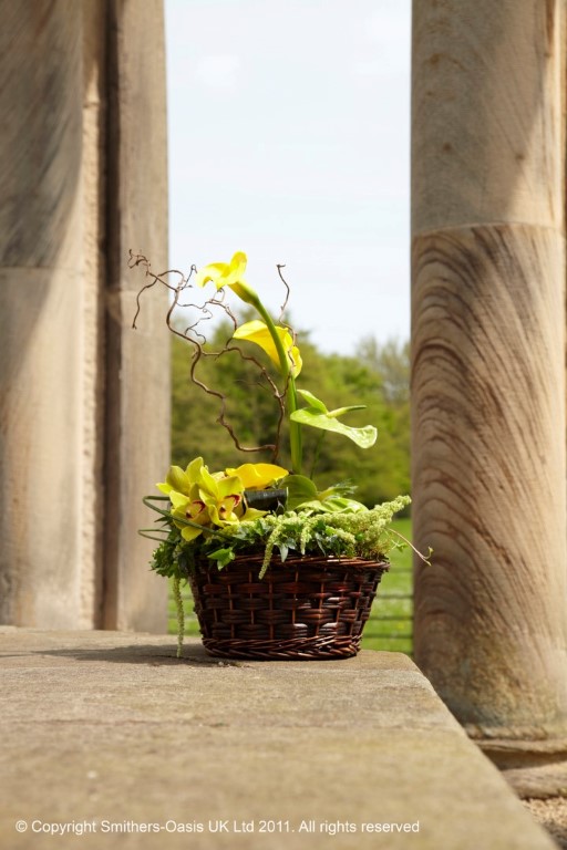 Modern Basket