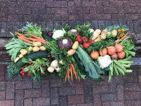 Vegetable, fruit, allotment, coffin, casket, spray, Funeral, tribute, wreath, flowers, Biggin Hill, Westerham, Orpington, Bromley, Sevenoaks, Florist 