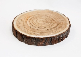 Rustic Log Slice