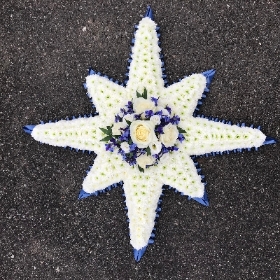 Northern Star Tribute