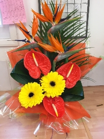 Gift, tropical, flower, arrangement, birthday, statement, impact,  delivery, 